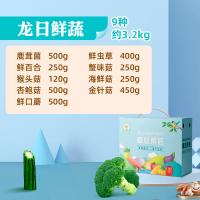 大農莊園-龍日鮮蔬禮盒9種/約重3.2kg