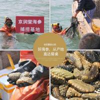 大連一級淡干海參禮盒250克